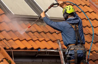 Démoussage et hydrofuge de toiture à Dommarien